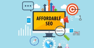 SEO Service in USA